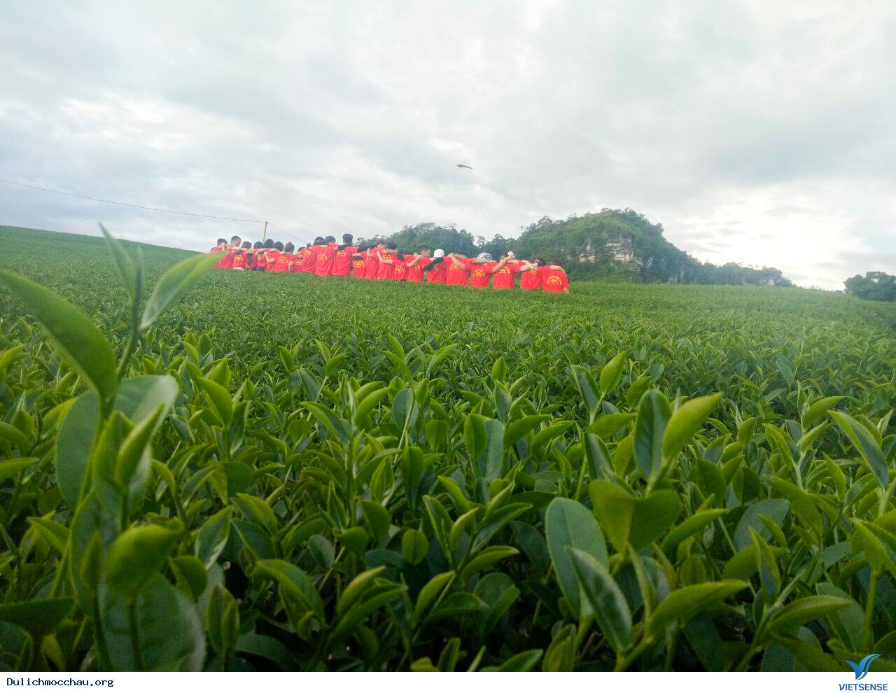 Hình Ảnh Đoàn chương trình Mai Châu - Mộc Châu Tết Độc Lập 2018 - Ảnh 12