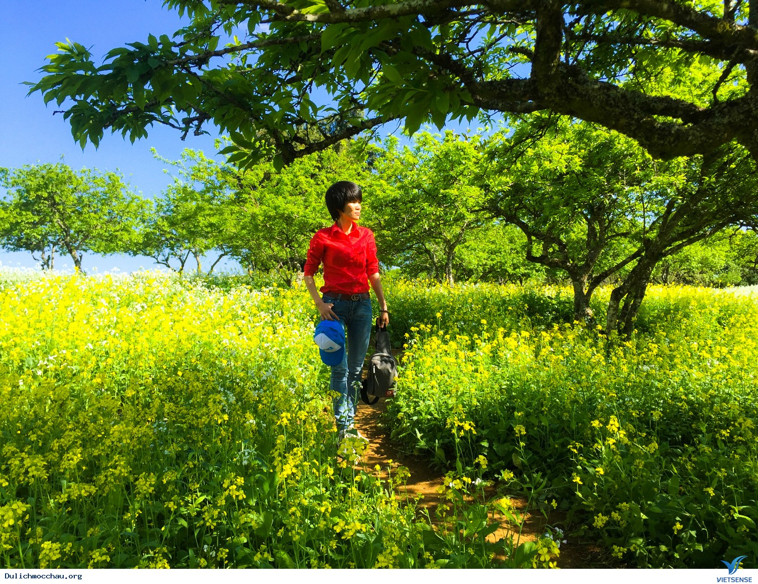 Hình Ảnh Đoàn chương trình Mai Châu - Mộc Châu Tết Mậu Tuất 2018 - Ảnh 6
