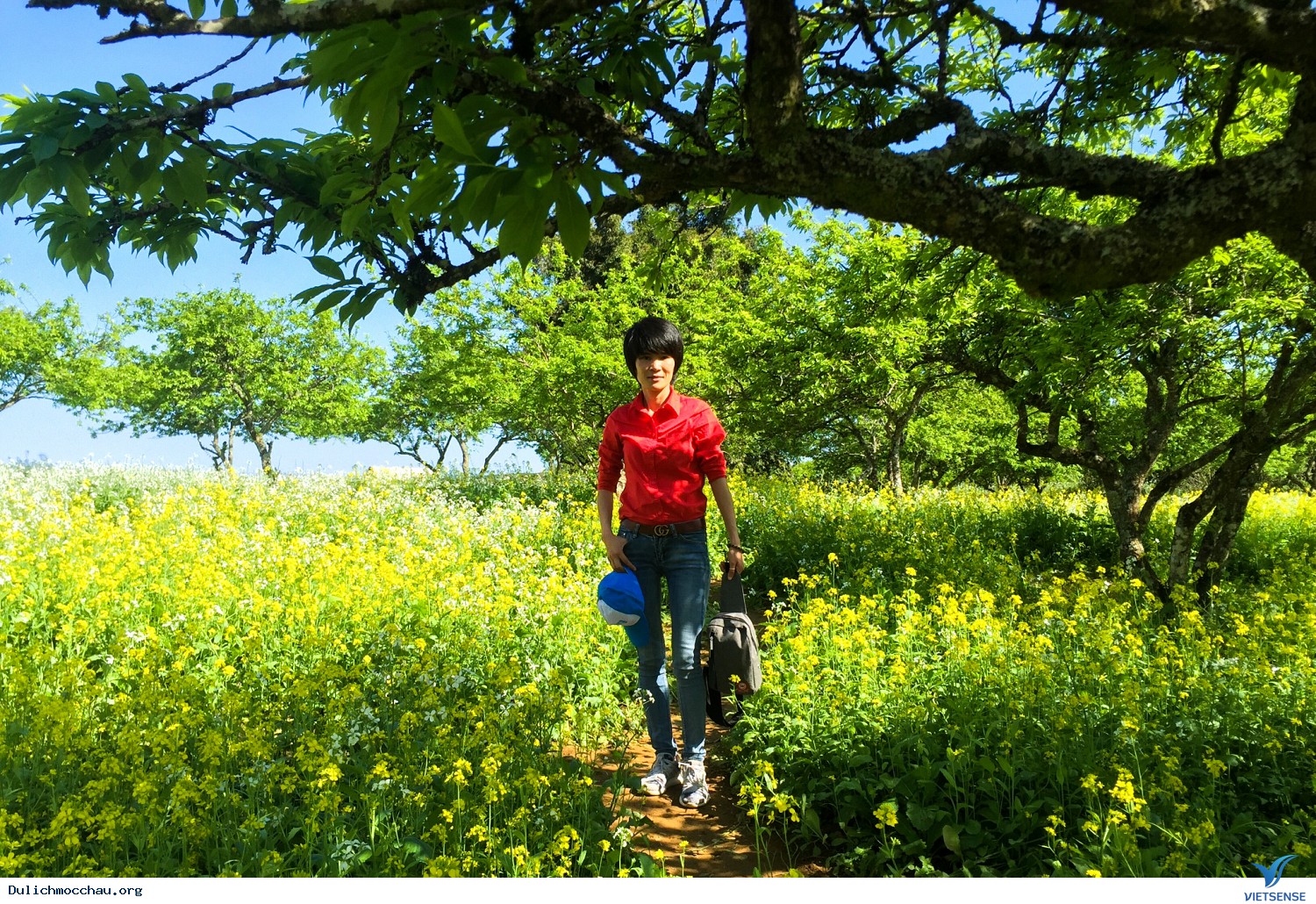 Hình Ảnh Đoàn chương trình Mai Châu - Mộc Châu Tết Mậu Tuất 2018 - Ảnh 9