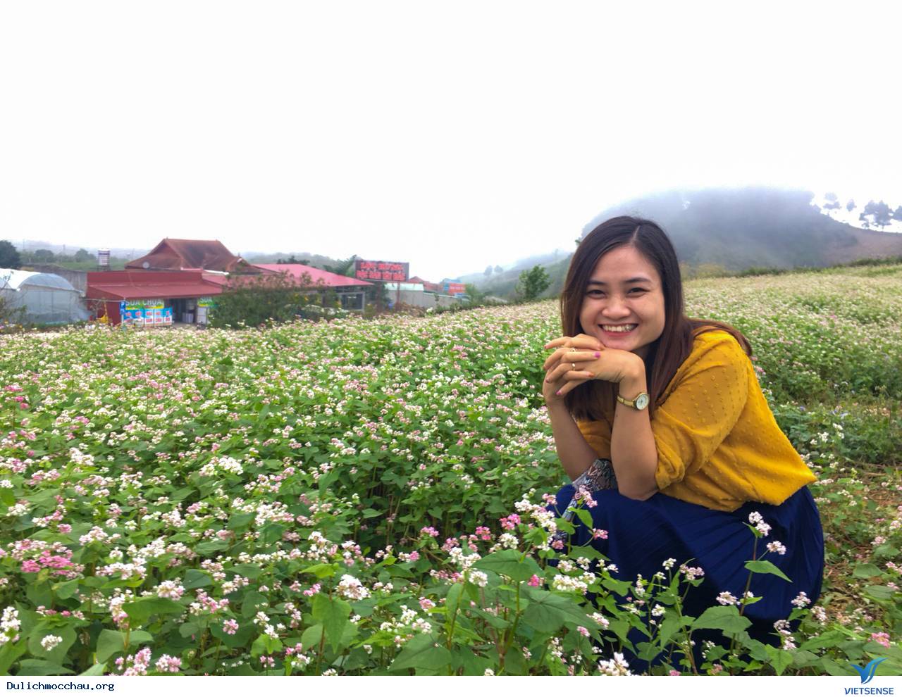 Hình Ảnh Đoàn chương trình Mộc Châu Khởi Hành 17-18/11/2018 - Ảnh 6 Hình Ảnh Đoàn chương trình Mộc Châu Khởi Hành 17-18/11/2018 - Ảnh 6