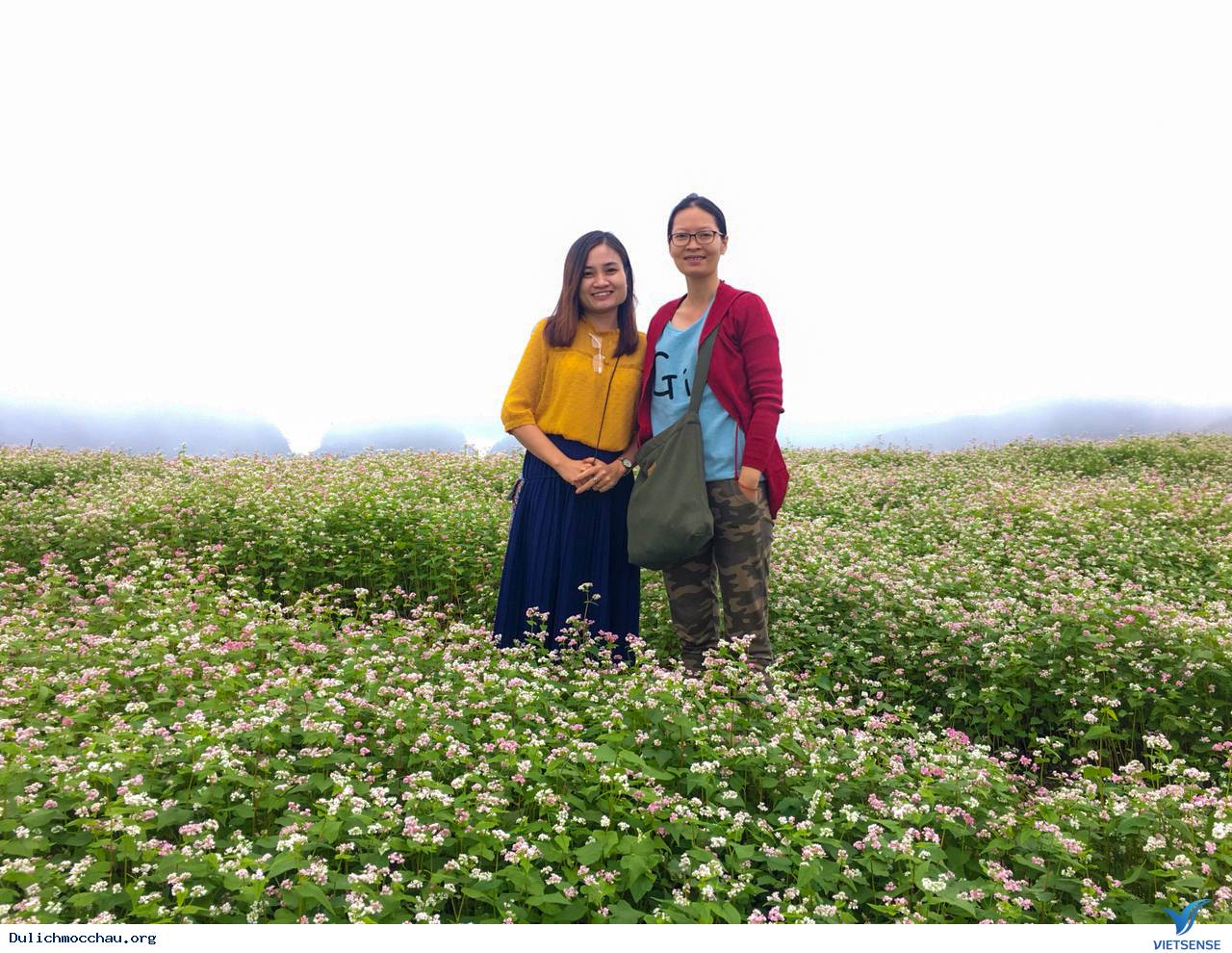 Hình Ảnh Đoàn chương trình Mộc Châu Khởi Hành 17-18/11/2018 - Ảnh 2 Hình Ảnh Đoàn chương trình Mộc Châu Khởi Hành 17-18/11/2018 - Ảnh 2