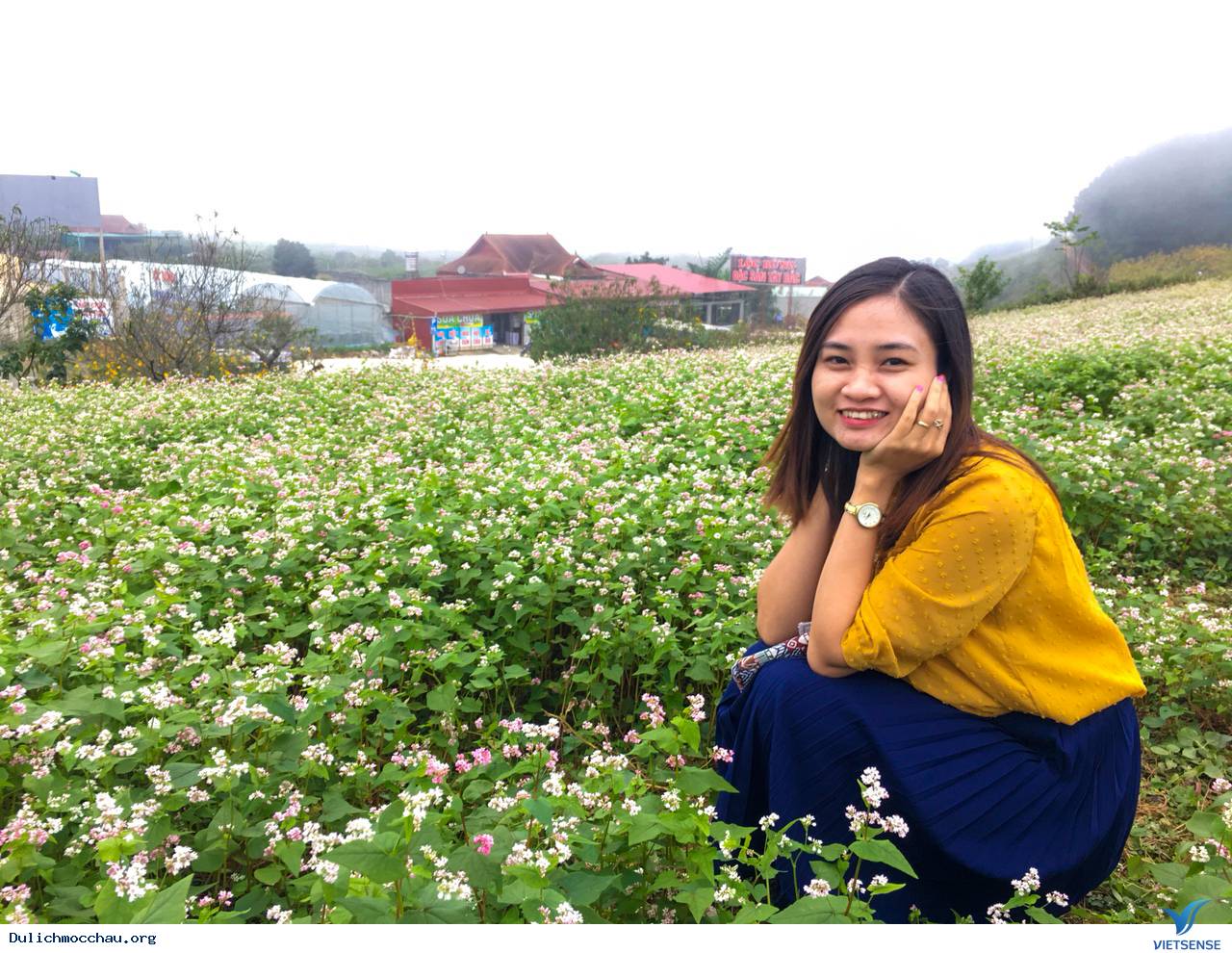 Hình Ảnh Đoàn chương trình Mộc Châu Khởi Hành 17-18/11/2018 - Ảnh 8 Hình Ảnh Đoàn chương trình Mộc Châu Khởi Hành 17-18/11/2018 - Ảnh 8