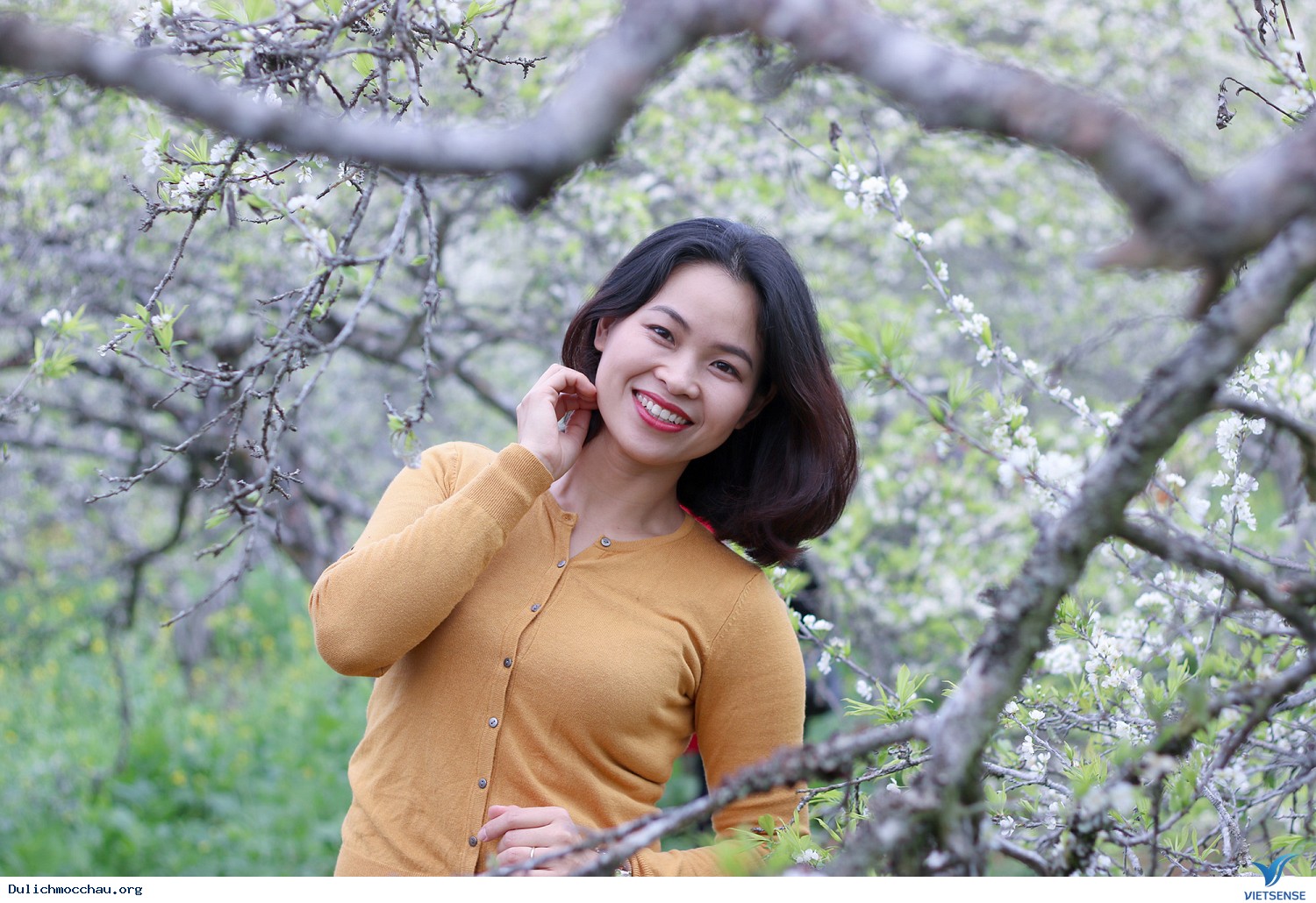 Hình Ảnh Đoàn chương trình Mộc Châu Mùa Hoa Đào - Hoa Mận Ngày 27 - 28/1/2018 - Ảnh 7