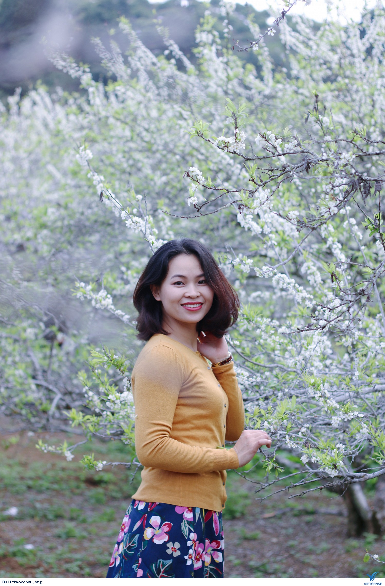 Hình Ảnh Đoàn chương trình Mộc Châu Mùa Hoa Đào - Hoa Mận Ngày 27 - 28/1/2018 - Ảnh 10