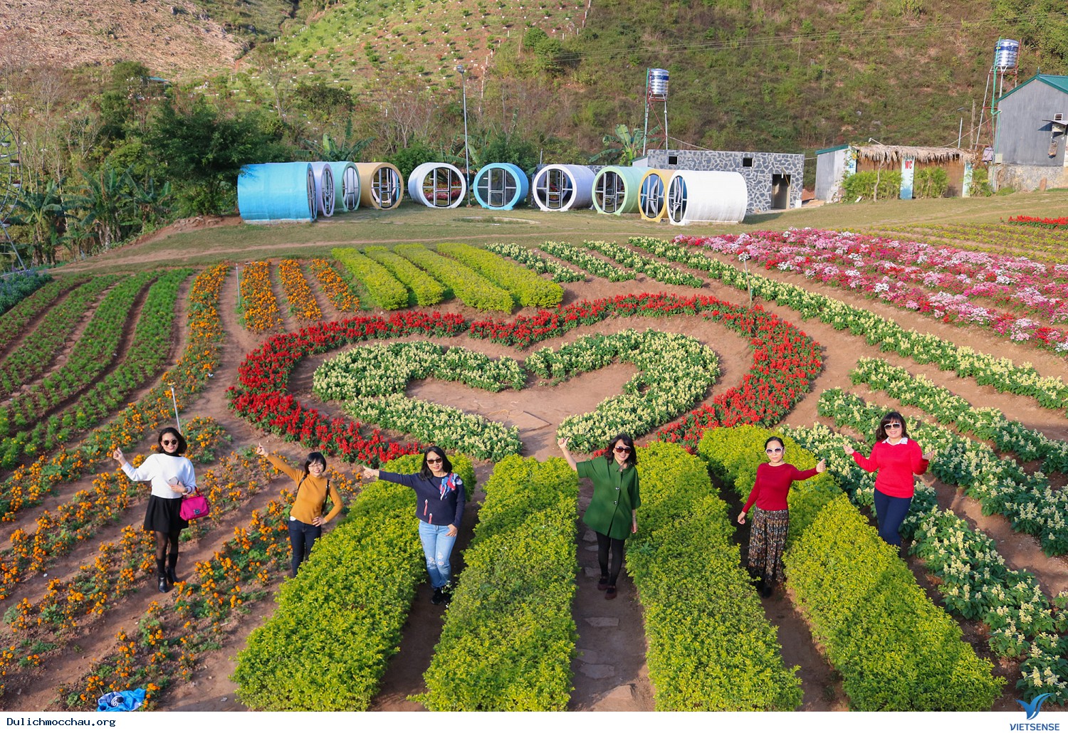 Hình Ảnh Đoàn chương trình Mộc Châu Mùa Hoa Đào - Hoa Mận Ngày 27 - 28/1/2018 - Ảnh 5