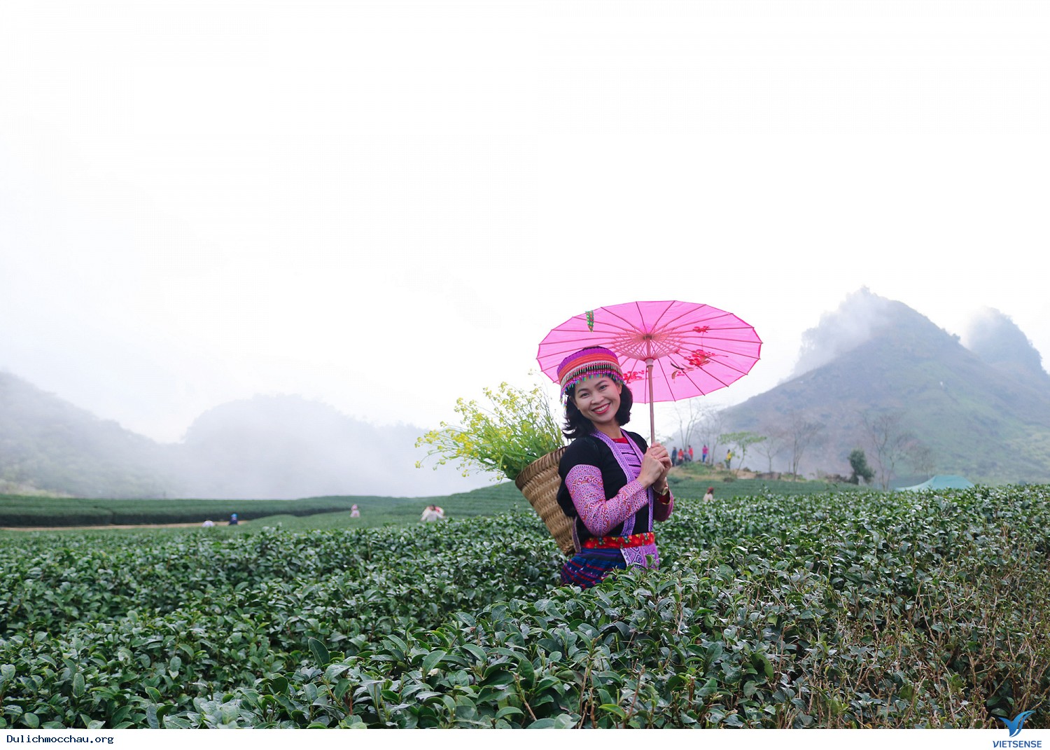 Hình Ảnh Đoàn chương trình Mộc Châu Mùa Hoa Đào - Hoa Mận Ngày 27 - 28/1/2018 - Ảnh 8