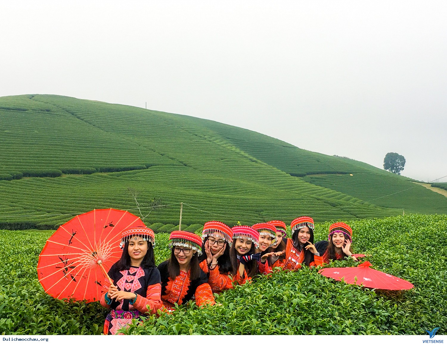 Hình Ảnh Đoàn chương trình Mộc Châu Tháng 12 - Ảnh 19 Hình Ảnh Đoàn chương trình Mộc Châu Tháng 12 - Ảnh 19