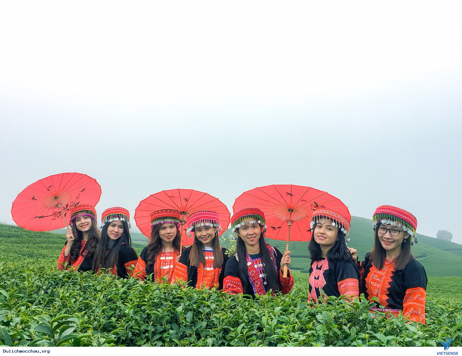 Hình Ảnh Đoàn chương trình Mộc Châu Tháng 12 - Ảnh 5 Hình Ảnh Đoàn chương trình Mộc Châu Tháng 12 - Ảnh 5