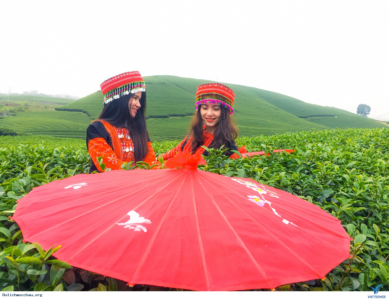 Hình Ảnh Đoàn chương trình Mộc Châu Tháng 12 - Ảnh 6 Hình Ảnh Đoàn chương trình Mộc Châu Tháng 12 - Ảnh 6