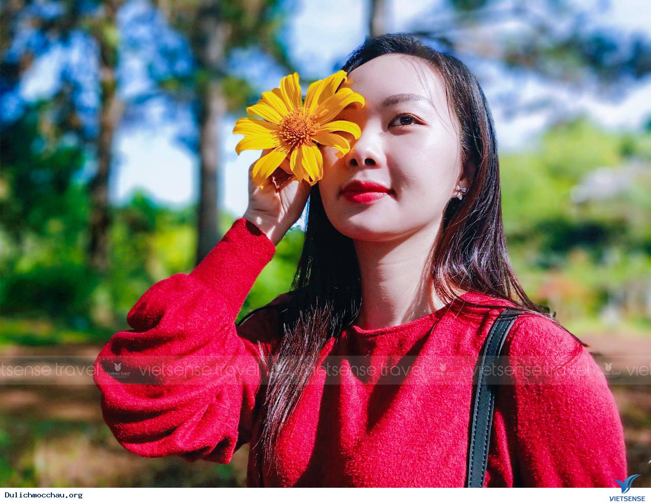 Hình Ảnh Chương trình Mộc Châu 15-16/11 - Ảnh 6