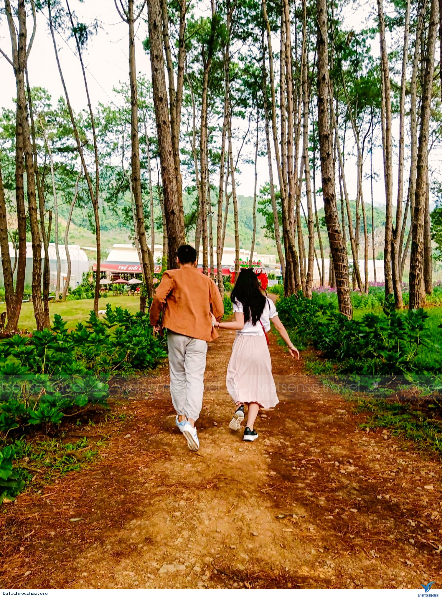 Hình Ảnh Chương trình Mộc Châu 15-16/11 - Ảnh 9