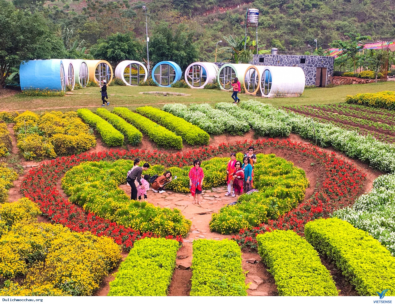 Hình Ảnh chương trình Mộc Châu Khởi Hành 24-25/11 - Ảnh 6