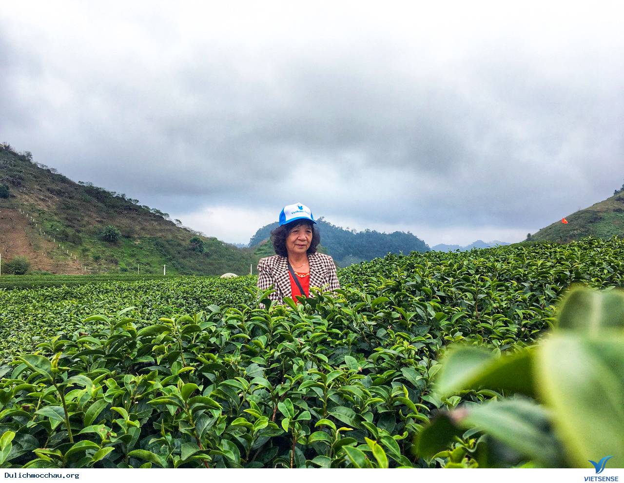 Hình Ảnh chương trình Mộc Châu Khởi Hành 24-25/11 - Ảnh 5