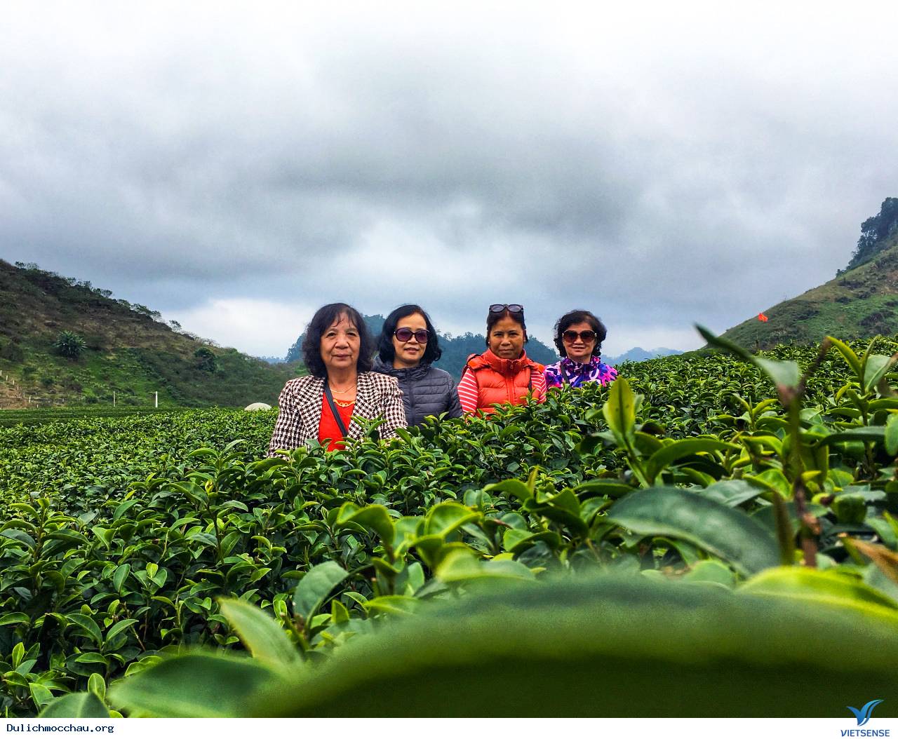 Hình Ảnh chương trình Mộc Châu Khởi Hành 24-25/11 - Ảnh 7