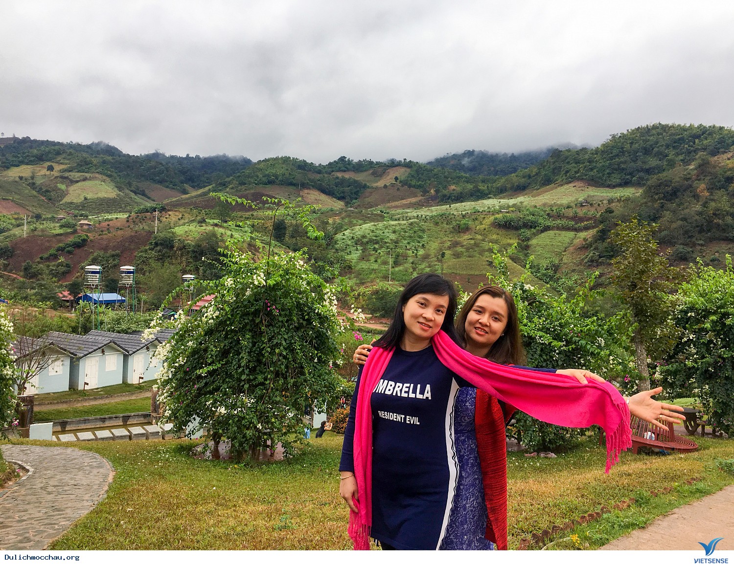 Hình Ảnh chương trình Mộc Châu Mùa Hoa Cải Trắng Tháng 12 - Ảnh 6