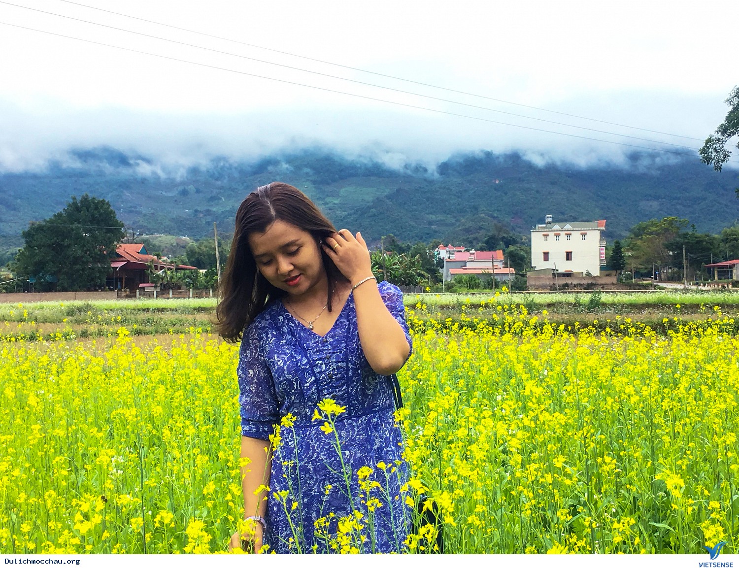 Hình Ảnh chương trình Mộc Châu Mùa Hoa Cải Trắng Tháng 12 - Ảnh 9