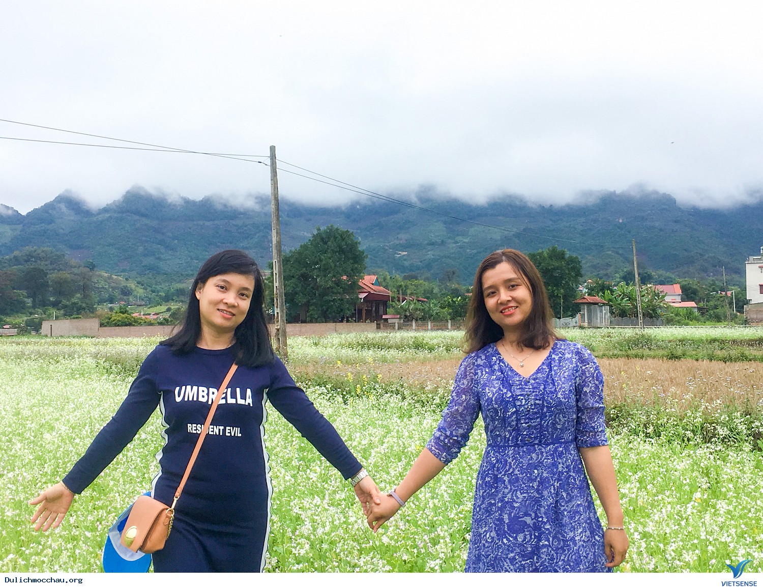 Hình Ảnh chương trình Mộc Châu Mùa Hoa Cải Trắng Tháng 12 - Ảnh 12