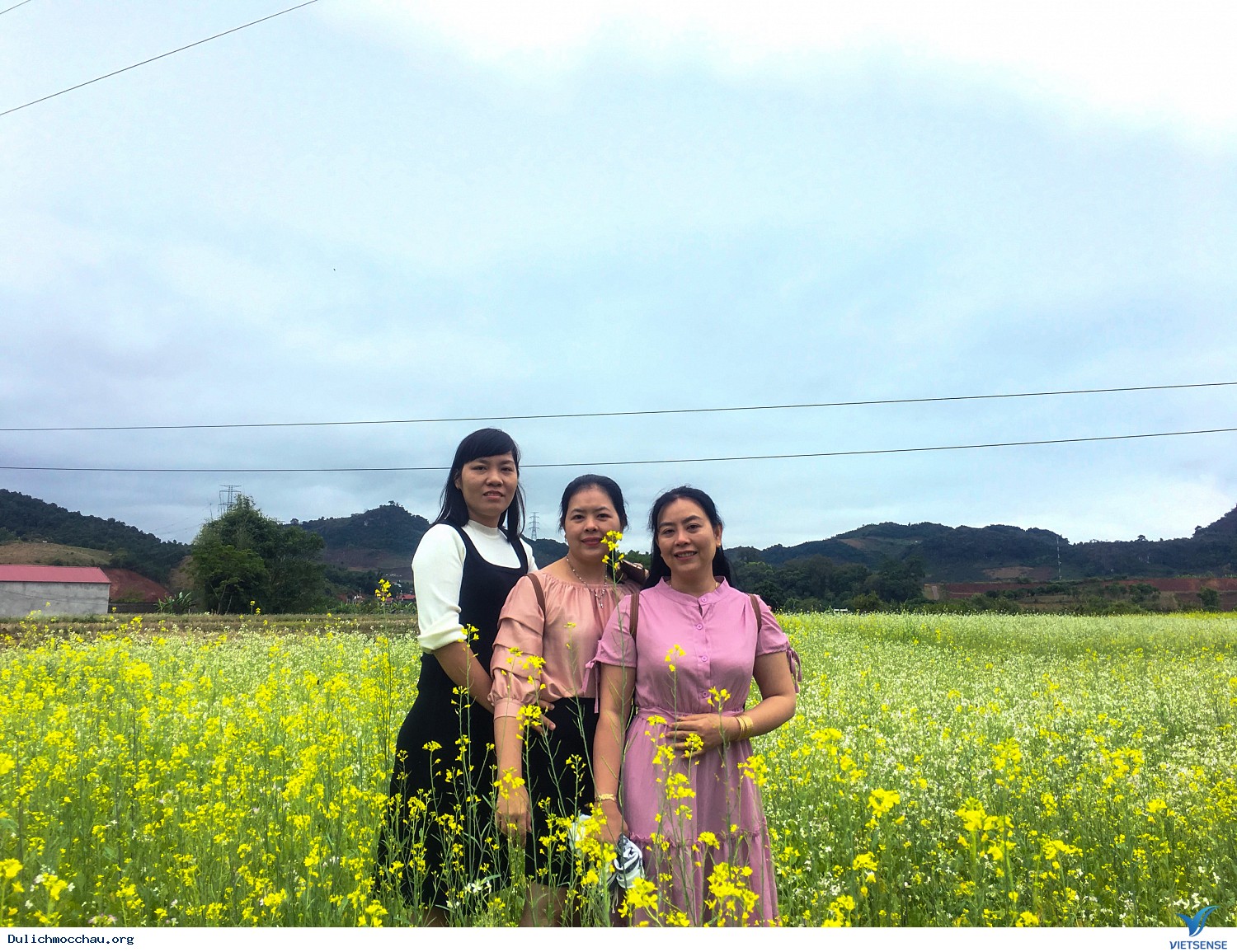 Hình Ảnh chương trình Mộc Châu Mùa Hoa Cải Trắng Tháng 12 - Ảnh 7
