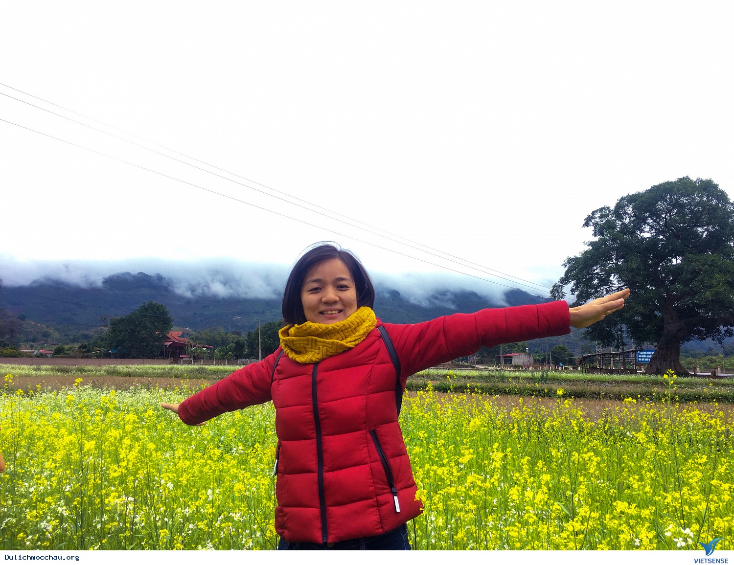 Hình Ảnh chương trình Mộc Châu Mùa Hoa Cải Trắng Tháng 12 - Ảnh 10