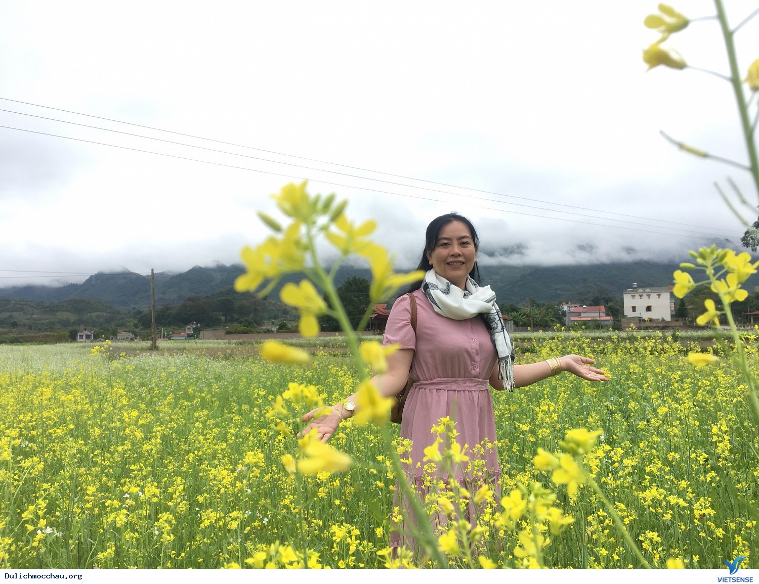 Hình Ảnh chương trình Mộc Châu Mùa Hoa Cải Trắng Tháng 12 - Ảnh 4