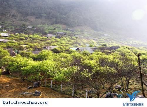 Hướng Đi Cho hành trình Mộc Châu Sơn La - Ảnh 1