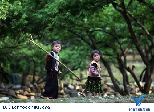 Hướng Đi Cho hành trình Mộc Châu Sơn La - Ảnh 3