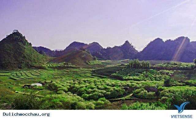 Huyền Ảo Cao Nguyên Mộc Châu Trong Sương Sớm - Ảnh 3 Huyền Ảo Cao Nguyên Mộc Châu Trong Sương Sớm - Ảnh 3
