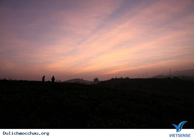 Huyền Ảo Cao Nguyên Mộc Châu Trong Sương Sớm - Ảnh 1