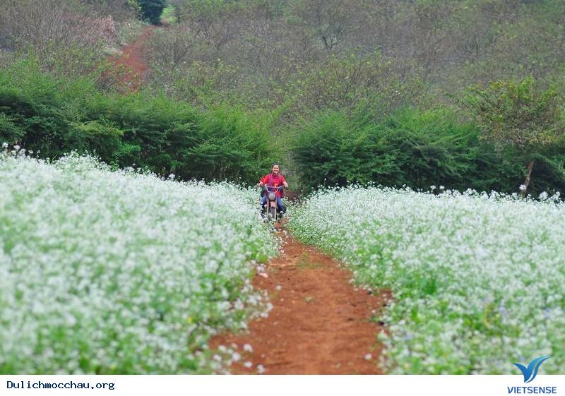 Phương Tiện Di Chuyển