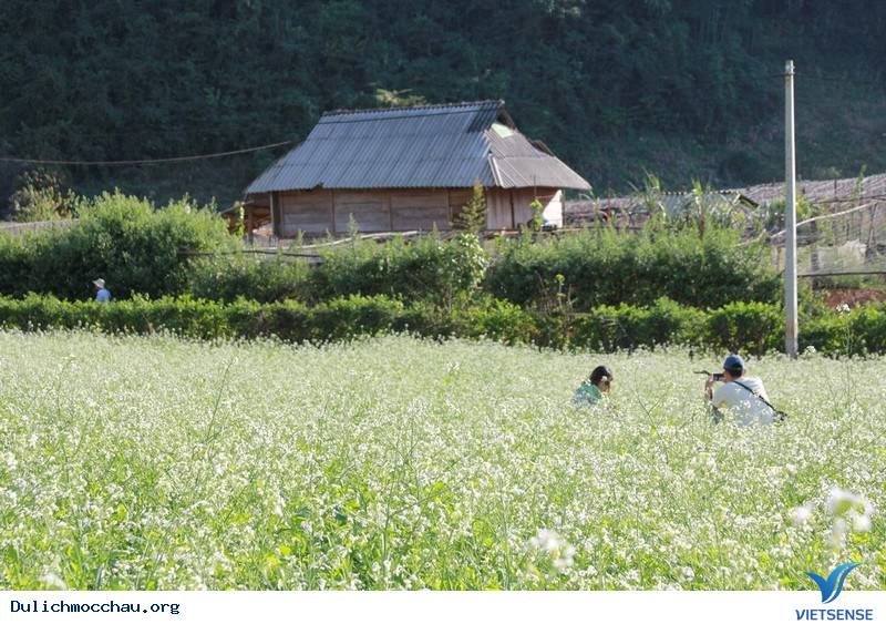 Ở một số nơi khác như Bản Pa Phách