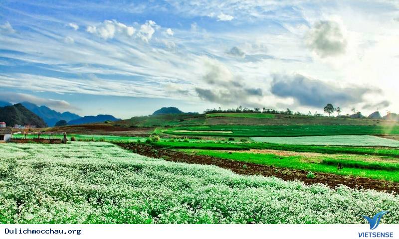 hành trình Mộc Châu nên chuẩn bị những gì? hành trình Mộc Châu nên chuẩn bị những gì?