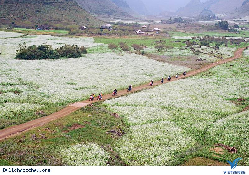 Phương tiện di chuyển tại Mộc Châu Phương tiện di chuyển tại Mộc Châu