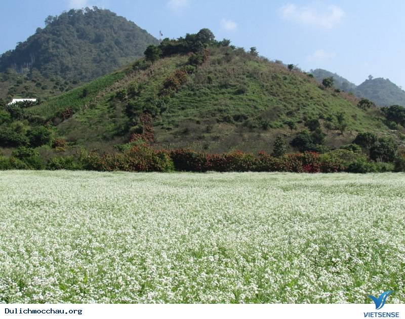 Một số lưu ý cho khách thăm quan “săn” hoa Một số lưu ý cho khách thăm quan “săn” hoa