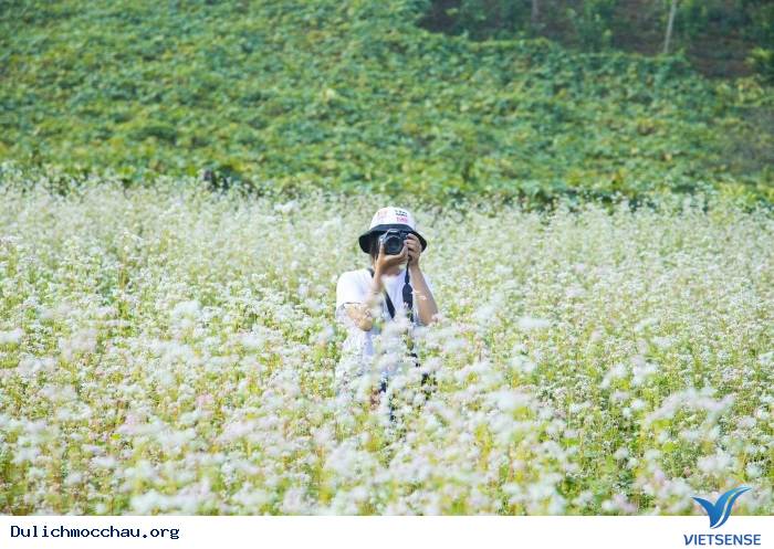 Kinh nghiệm phượt Hoa Cải - Mộc Châu từ A-Z - Ảnh 5