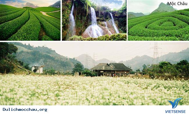 Kinh nghiệm phượt Tết độc lập người mông - Mộc Châu - Ảnh 1 Kinh nghiệm phượt Tết độc lập người mông - Mộc Châu - Ảnh 1