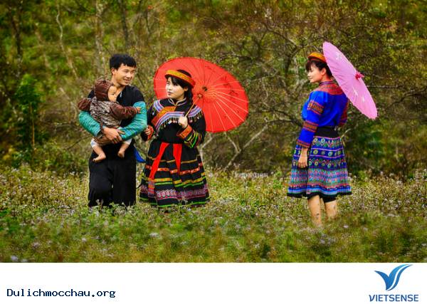 Kinh nghiệm phượt Tết độc lập người mông - Mộc Châu - Ảnh 2 Kinh nghiệm phượt Tết độc lập người mông - Mộc Châu - Ảnh 2