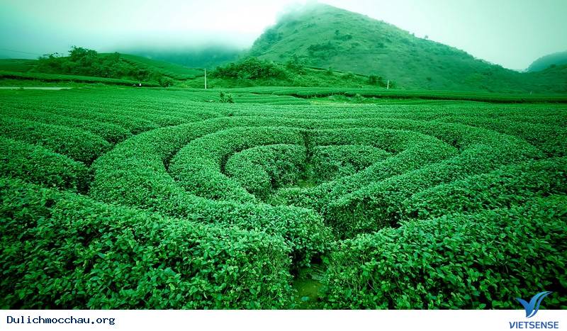 Ký Sự Mộc Châu Những Ngày Cuối Tháng 2 - Ảnh 1