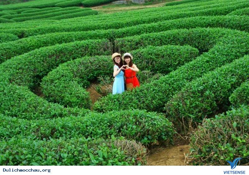 Ký Sự Mộc Châu Những Ngày Cuối Tháng 2 - Ảnh 4