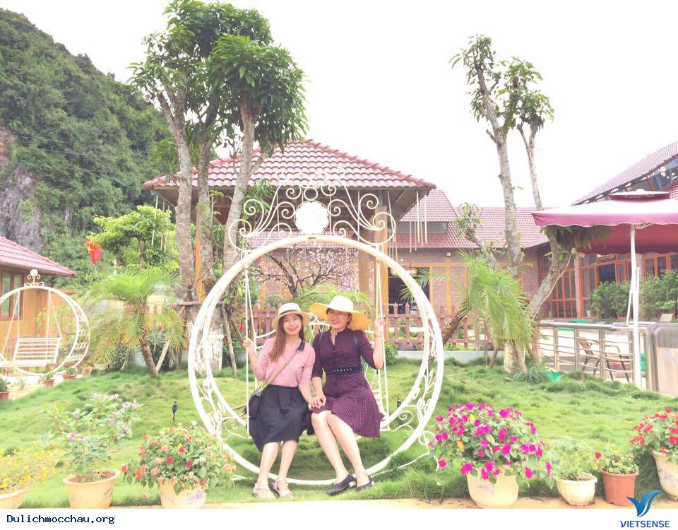 Ký sự một ngày làm cô chăn bò Mộc Châu - Ảnh 6 Ký sự một ngày làm cô chăn bò Mộc Châu - Ảnh 6