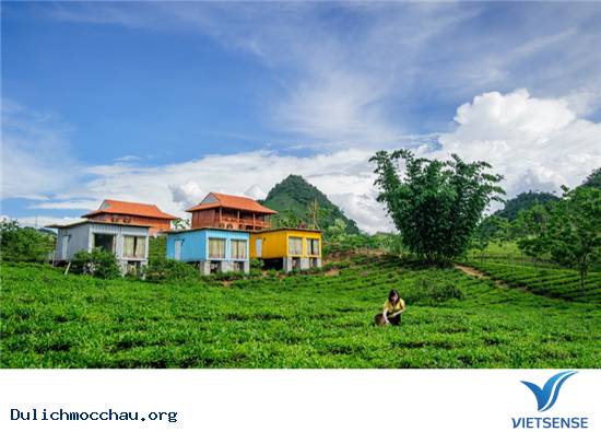 Tổ hợp Mộc Châu Arena Village - Ảnh 3 Tổ hợp Mộc Châu Arena Village - Ảnh 3