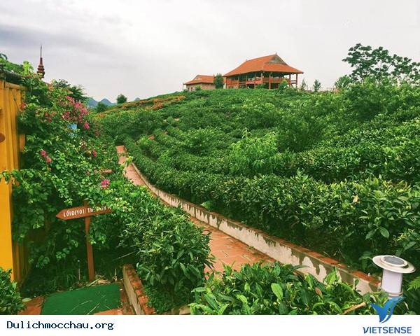 Tổ hợp Mộc Châu Arena Village - Ảnh 2 Tổ hợp Mộc Châu Arena Village - Ảnh 2