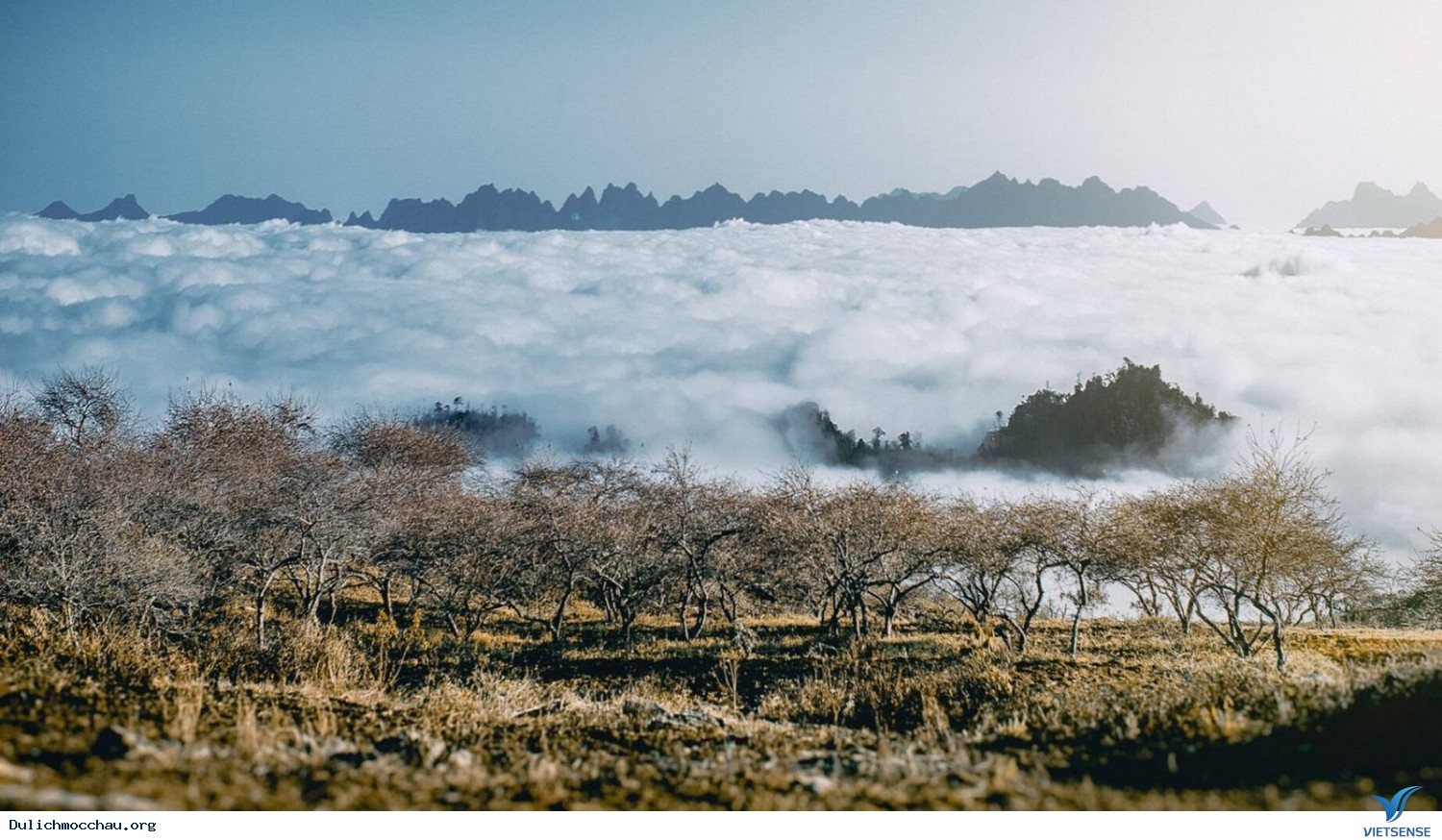 Lịch trình gợi ý đi Mộc Châu ngày 30/4 - Ảnh 1 Lịch trình gợi ý đi Mộc Châu ngày 30/4 - Ảnh 1
