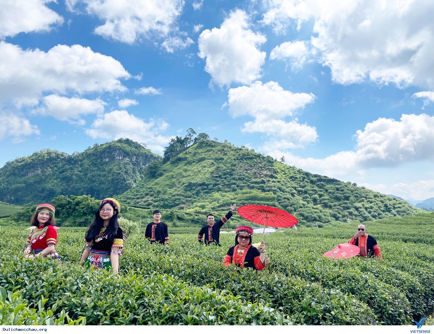 Mai Châu - Mộc Châu - Đồi chè Mộc Châu - Ảnh 1