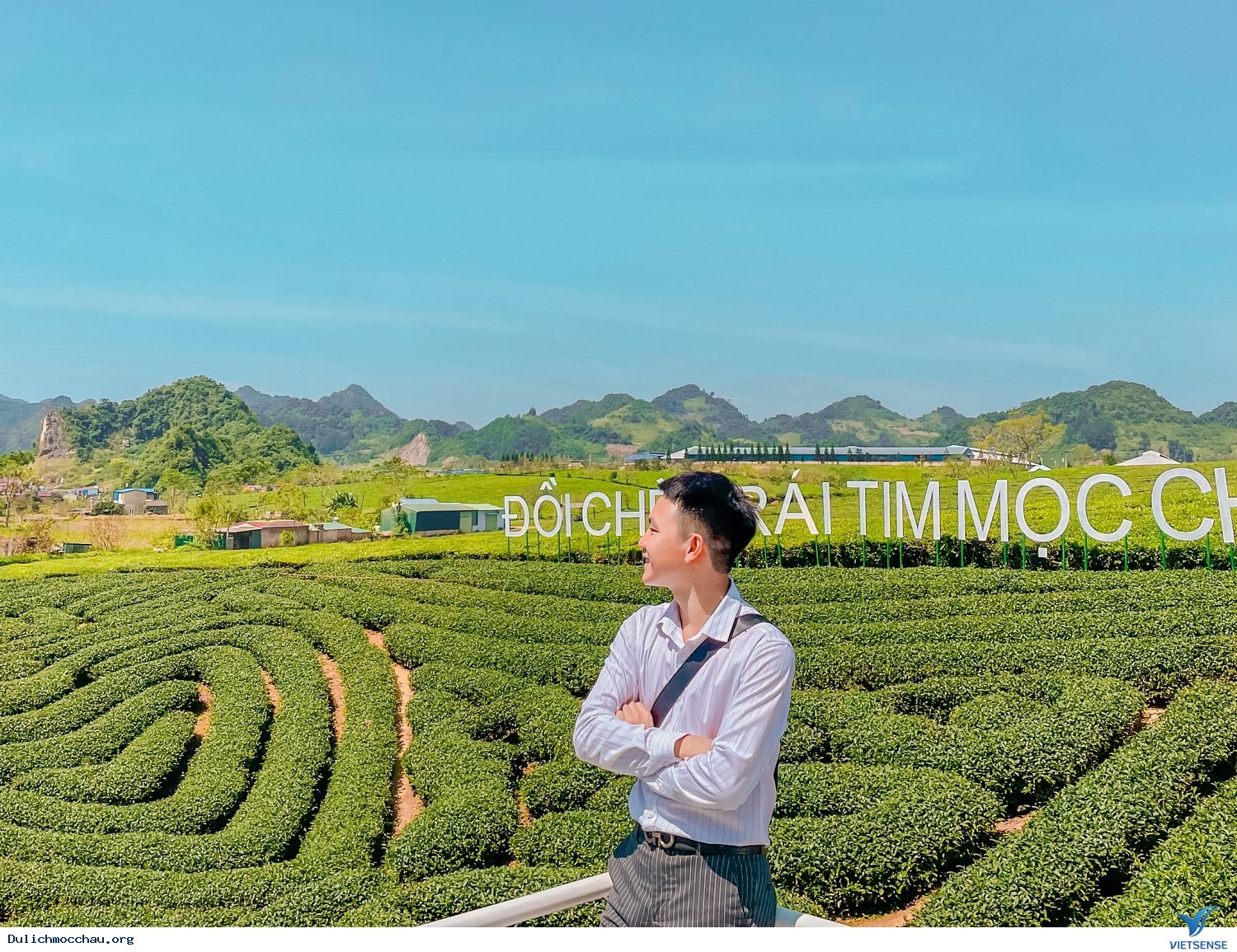 Mai Châu - Mộc Châu - Đồi chè Mộc Châu - Ảnh 2