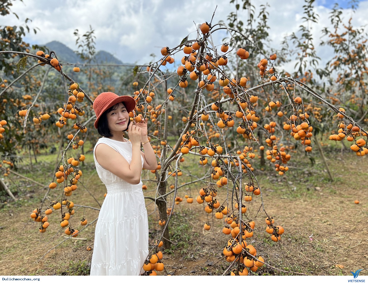 Mai Châu - Mộc Châu - Vườn hồng Mộc Châu - Rừng thông Bản Áng - Ảnh 1 Mai Châu - Mộc Châu - Vườn hồng Mộc Châu - Rừng thông Bản Áng - Ảnh 1