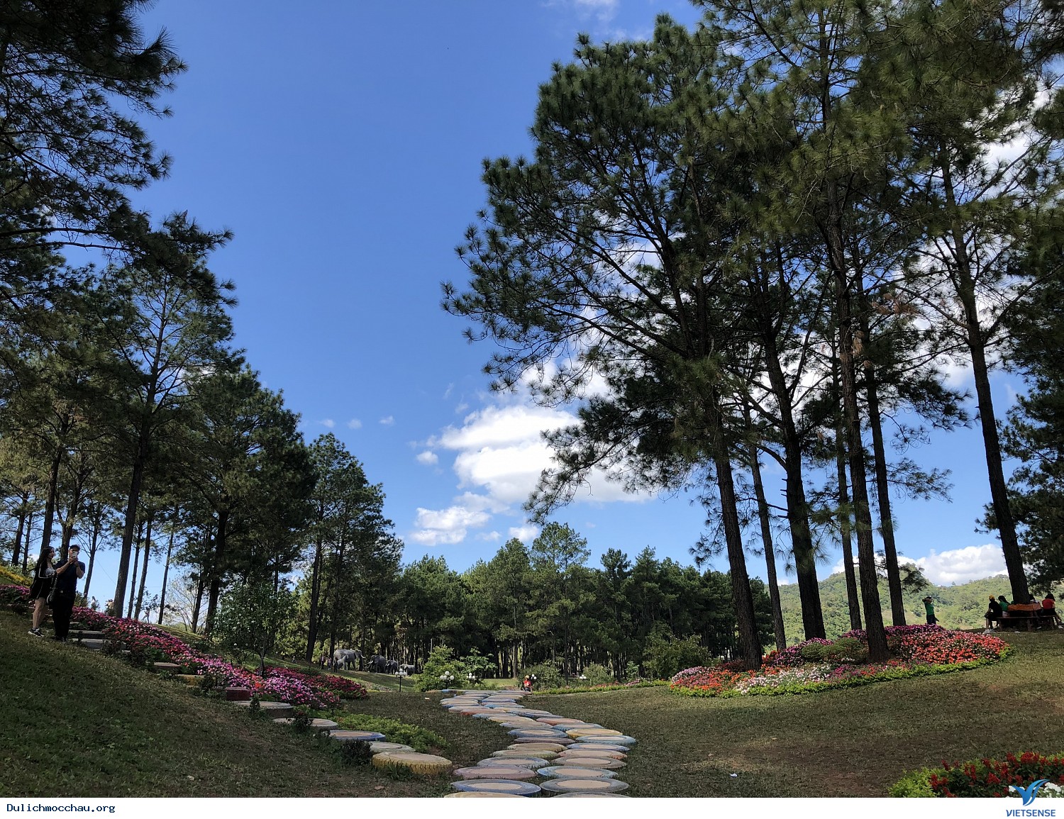 Mai Châu - Mộc Châu - Vườn hồng Mộc Châu - Rừng thông Bản Áng - Ảnh 2 Mai Châu - Mộc Châu - Vườn hồng Mộc Châu - Rừng thông Bản Áng - Ảnh 2