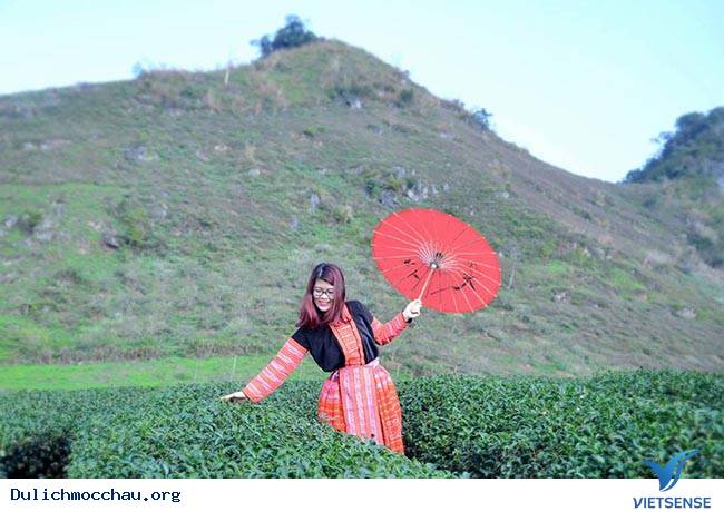 Mãn nhãn đồi chè xanh mướt mát thương nhớ ở Mộc Châu - Ảnh 4 Mãn nhãn đồi chè xanh mướt mát thương nhớ ở Mộc Châu - Ảnh 4