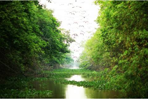 Mộc Châu - Một Trong 3 Điểm Đến Hữu Tình Dịp Đầu Xuân - Ảnh 2