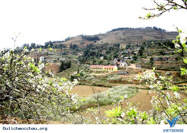 Cao nguyên Bắc Hà