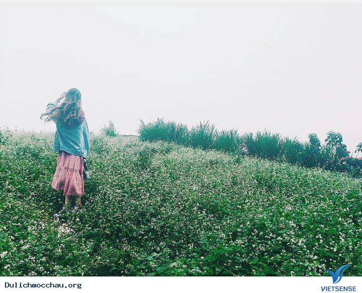 Mộc Châu - Những Con Đường Đẹp Như Mơ - Ảnh 7